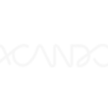acando logo white