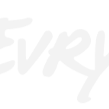 evry logo grey